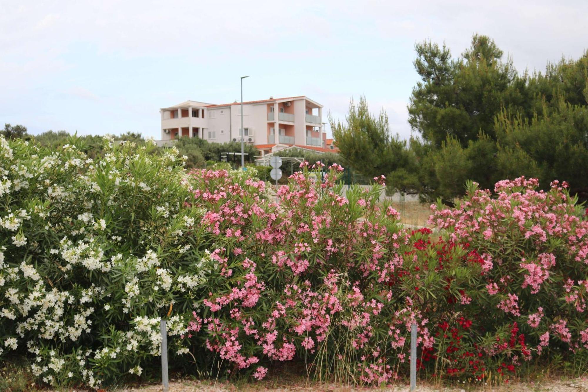 Apartmani Bilokapic Primošten Exterior foto